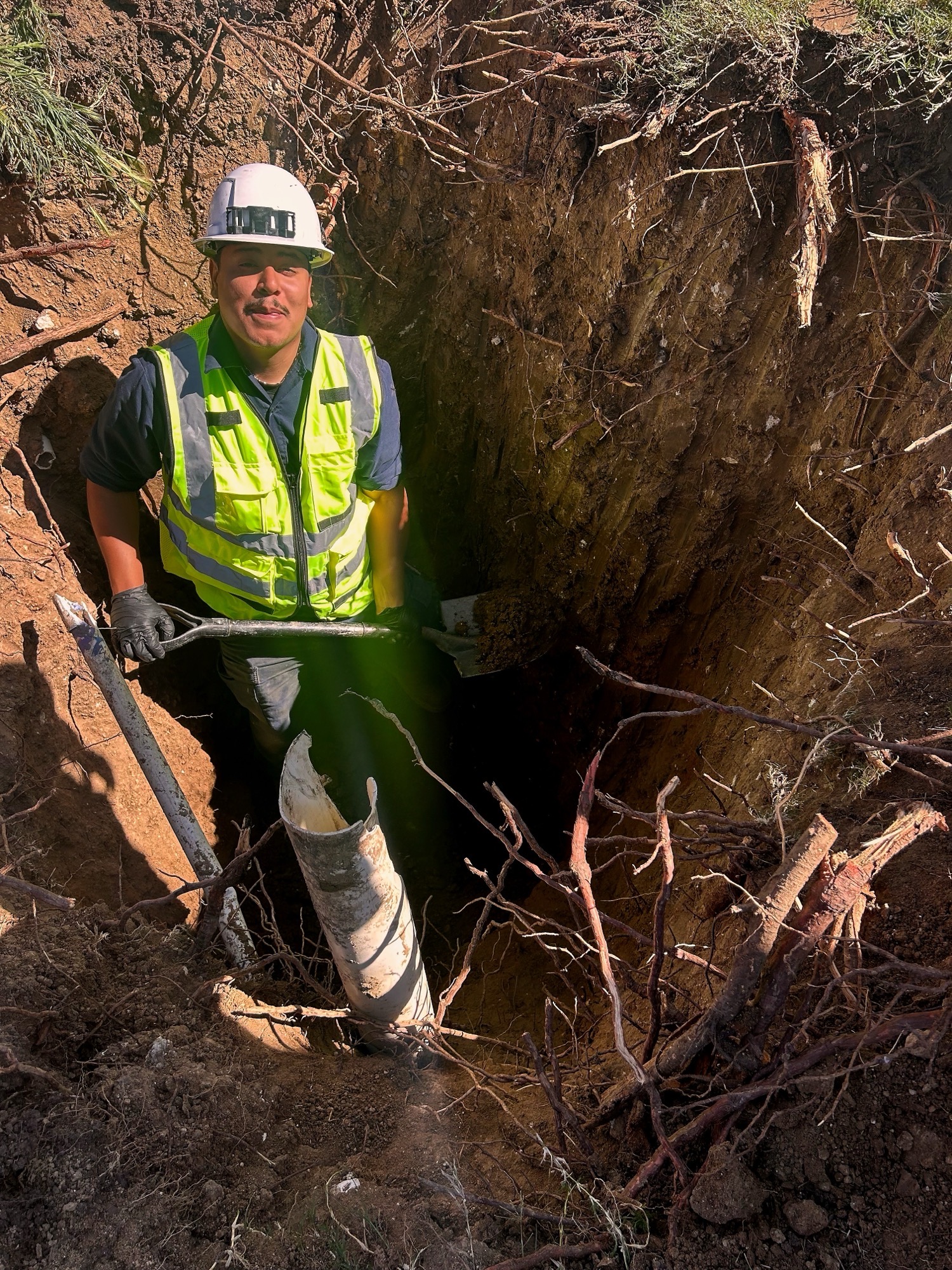 Root removal from a clogged sewer line